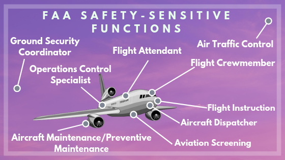 The FAA safety-sensitive functions listed out