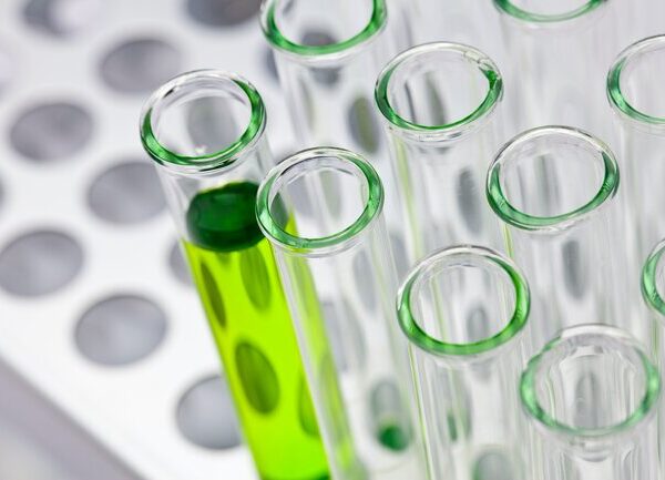 Vials in a laboratory awaiting validity testing