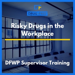 Risky Drugs in the Workplace Training Program CD Cover